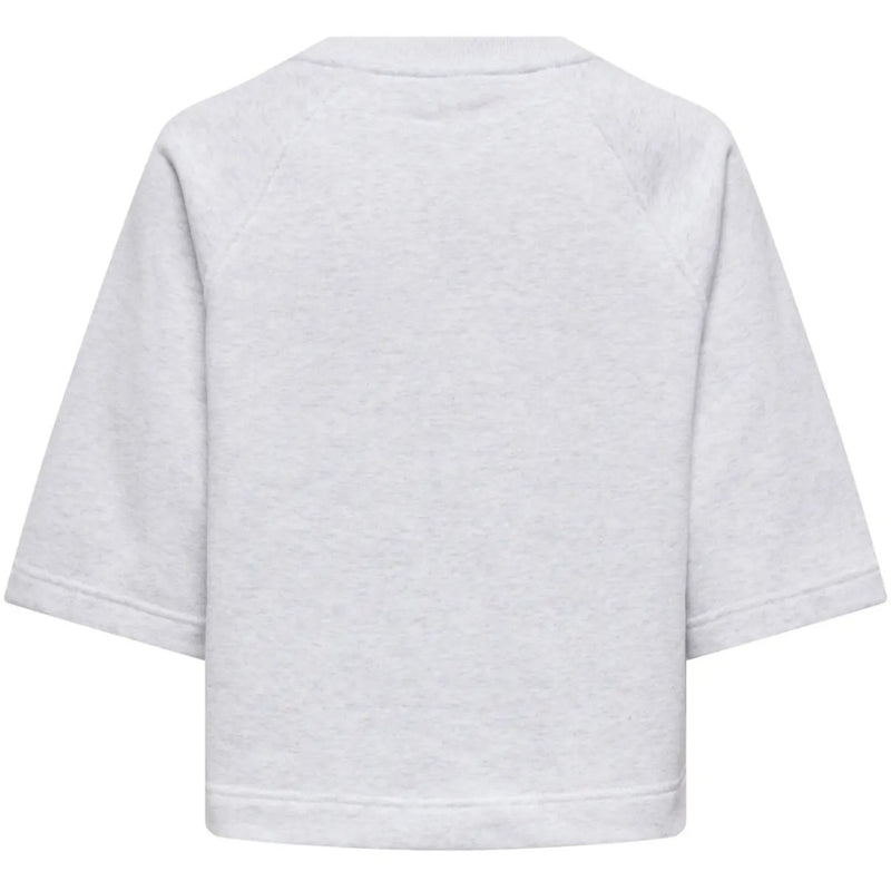 ONLY ONLY DAM T-SHIRT ONLDASIE T-shirt Light Grey Melange