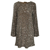 PIECES PIECES dam klänning PCKAM Dress Morel Silver sequins